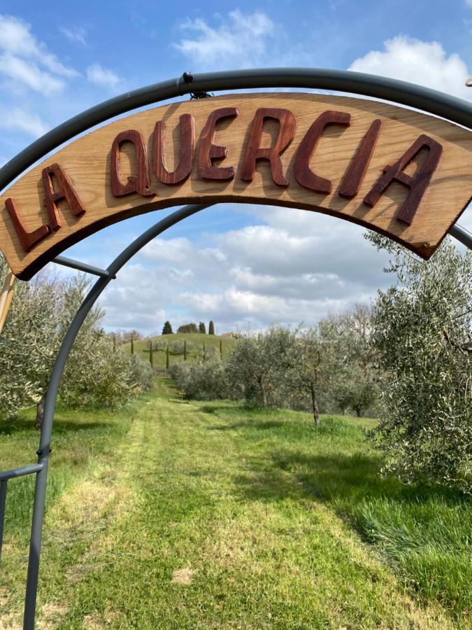 La Casina Della Quercia, Your Tuscan Oak Tree House Osteria Delle Noci Buitenkant foto